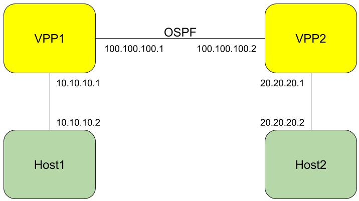 VPP_OSPF